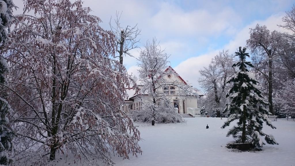 Bed and Breakfast Dwor Osmolice Bialki Dolne Exterior foto