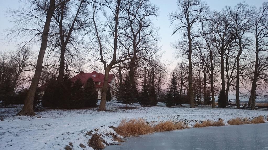 Bed and Breakfast Dwor Osmolice Bialki Dolne Exterior foto
