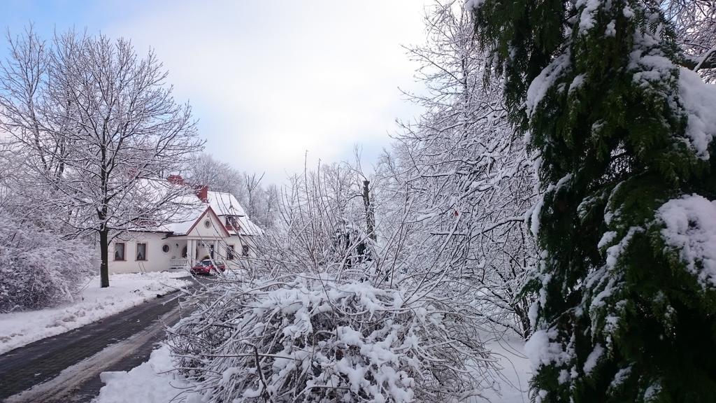 Bed and Breakfast Dwor Osmolice Bialki Dolne Exterior foto